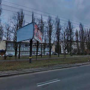 Ivana Vyhovskoho Street, 14, Kyiv: photo