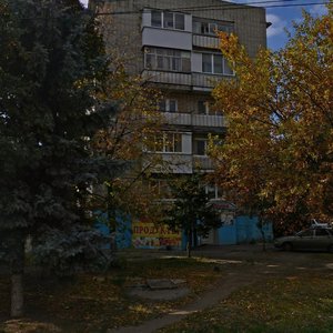 Саратов, Улица имени Осипова, 28: фото