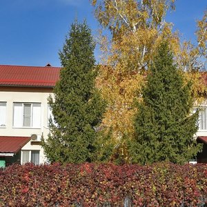 Zhloby Street, 2, Krasnodar: photo