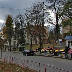 Vyshhorodska Street, 67, Kyiv: photo