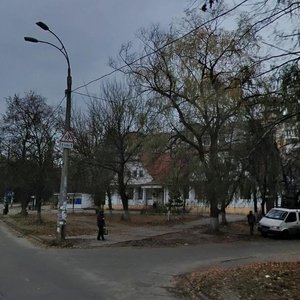 Henerala Naumova Street, 29, Kyiv: photo