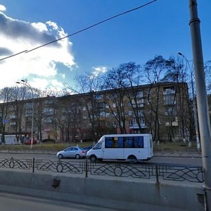 Dorohozhytska Street, 14/13, : foto