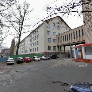Biloruska Street, 23А, Kyiv: photo