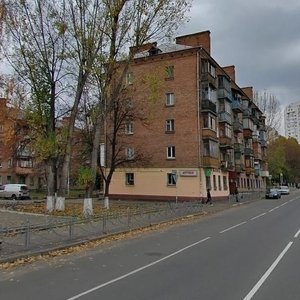 Avtozavodska Street, 87А, Kyiv: photo