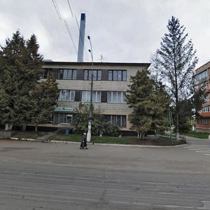 Ivana Mazepy Avenue, 8, Vyshhorod: photo