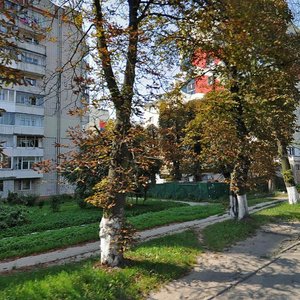 Varshavska vulytsia, 136, Lviv: photo