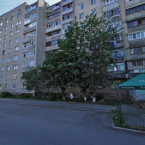 Vulytsia Shyrshova, 20, : foto