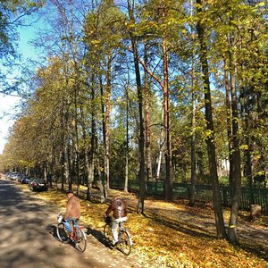 Flerova Street, No:11, Dubna: Fotoğraflar