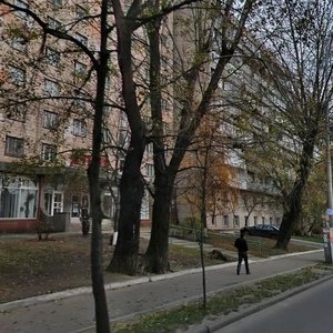 Zhylianska Street, No:74, Kiev: Fotoğraflar