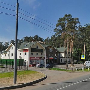 Posyolok Gorki-2, No:45А, Moskova ve Moskovskaya oblastı: Fotoğraflar