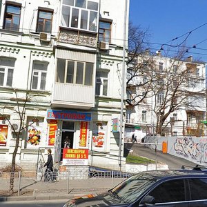 Saksahanskoho Street, 46, Kyiv: photo