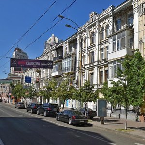 Saksahanskoho Street, 106, Kyiv: photo