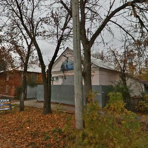 Voronezhskaya ulitsa, 102, Samara: photo
