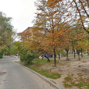 Iskrivska Street, 7, Kyiv: photo