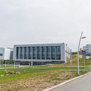 Campus of the Far Eastern Federal University, кS, Primorsky Krai: photo