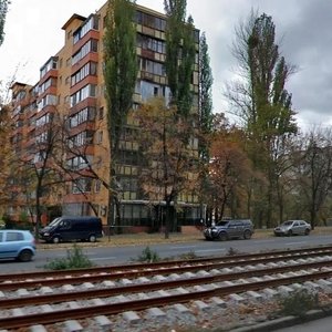 Borschahivska Street, 139-141, Kyiv: photo