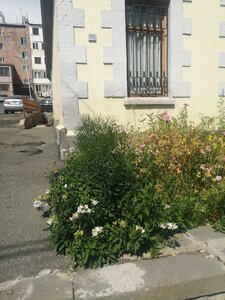 Orbeli brother's Street, 11 ، : صورة