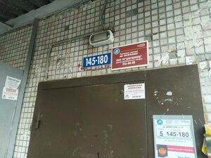 Dovatora Street, 31, Novosibirsk: photo
