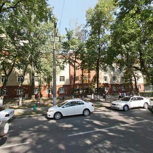 Gogol Street, 161, Almaty: photo