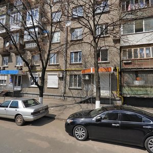 Borschahivska Street, 150, Kyiv: photo