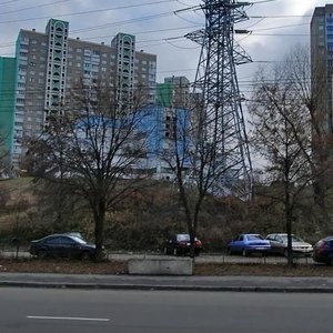 Киев, Улица Натальи Ужвий, 1: фото