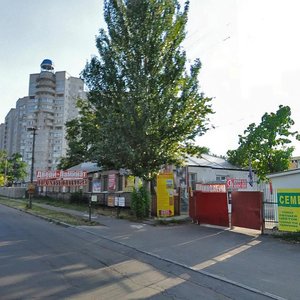 Robocha Street, 84, Dnipro: photo