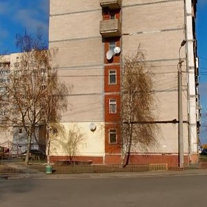 Otto Shmidta Street, 26А, Kyiv: photo