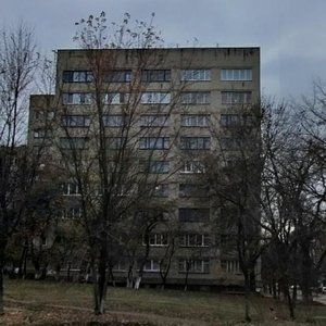 Verkhovynna Street, 81, Kyiv: photo