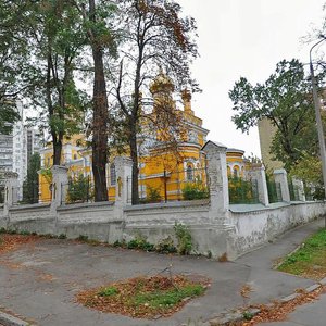 Киев, Улица Патриарха Мстислава Скрипника, 20/1: фото