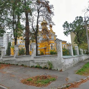 Patriarkha Mstyslava Skrypnyka Street, 20/1, Kyiv: photo