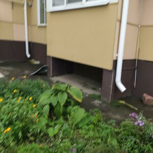 Novgorodskaya ulitsa, 39к2, Vladimir: photo