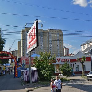 Koltsovskaya Street, 64, Voronezh: photo