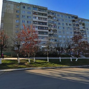 Frunze Street, 10, Tula: photo