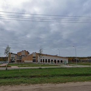 Shevelyukha Street, 137, Yaroslavl: photo