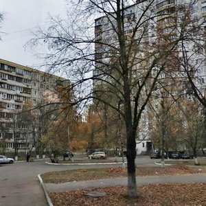 Akademika Bulakhovskoho Street, 42/43, Kyiv: photo