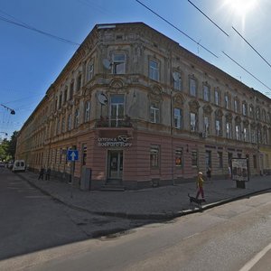 Vulytsia Vahylevycha, 9, Lviv: photo