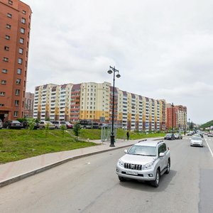 Владивосток, Улица Адмирала Горшкова, 36: фото