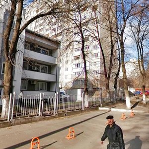 Pechenizka Street, 34, Kyiv: photo