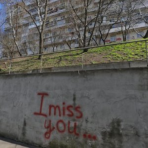 Mykoly Raievskoho Street, No:11, Kiev: Fotoğraflar