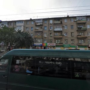 Kosmichna vulytsia, 100, Zaporizhia: photo