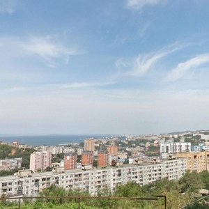 Nekrasovskaya Street, 74, Vladivostok: photo