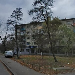 Anatoliia Solovianenka Street, 5, Kyiv: photo