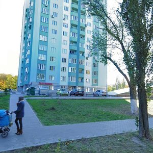 Mykoly Shepelieva Street, 5, Kyiv: photo