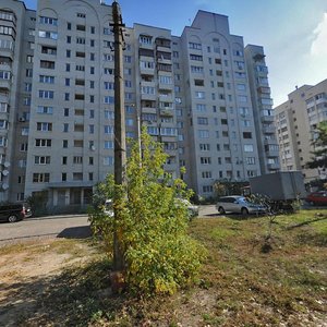 Olevska Street, 3Г, Kyiv: photo