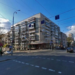 Saksahanskoho Street, 87, Kyiv: photo