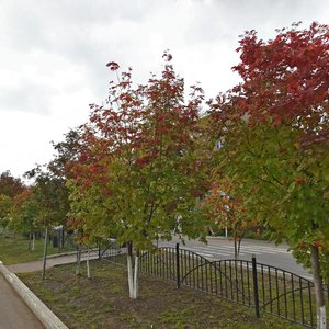 Mira Avenue, 8 ، : صورة
