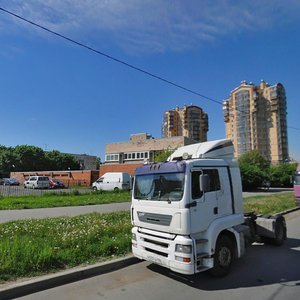 Avangardnaya Street, 49, Saint Petersburg: photo