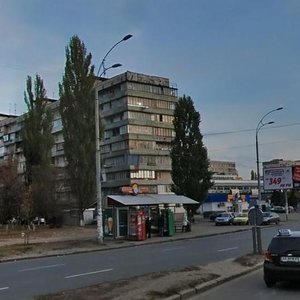 Marshala Malynovskoho Street, 3, Kyiv: photo