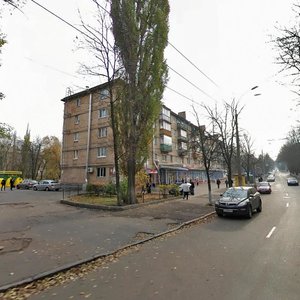 Yerevanska Street, 14, Kyiv: photo