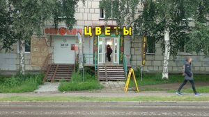 Kosmonavtov Highway, 84А, Perm: photo